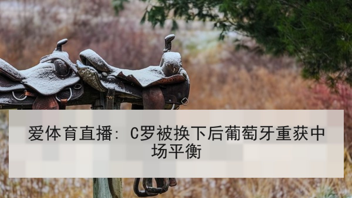 爱体育直播: C罗被换下后葡萄牙重获中场平衡