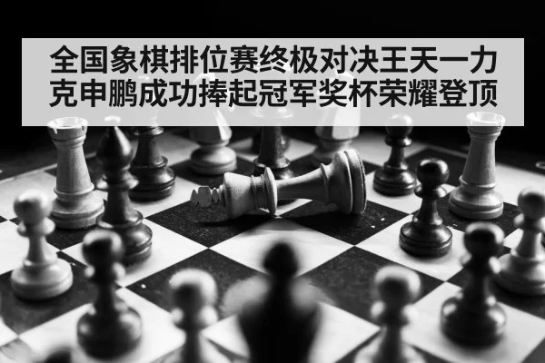 全国象棋排位赛终极对决王天一力克申鹏成功捧起冠军奖杯荣耀登顶